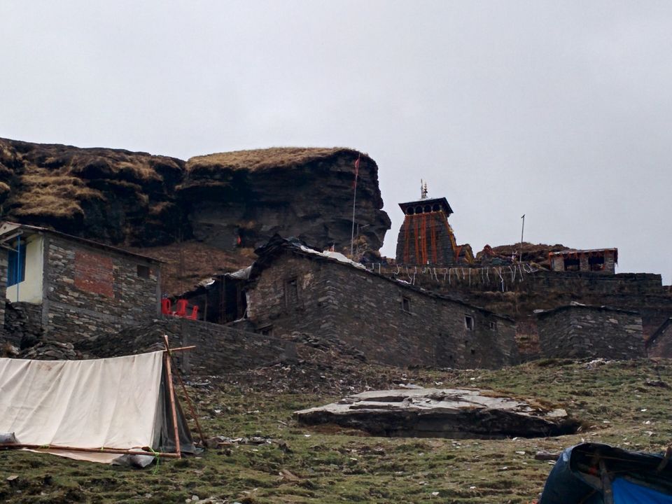 Photo of Chopta/Tungnath Temple(World's Highest Shiva Temple)/Chandrishilla Trek/ 4000 Mtr/Camping/Sanctuary by Pavit Dhar