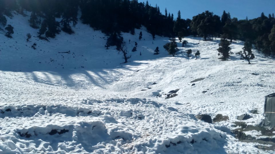 Photo of Chopta Tungnath Trek ( Uttarakhand) 4/8 by Sandeep Rawat