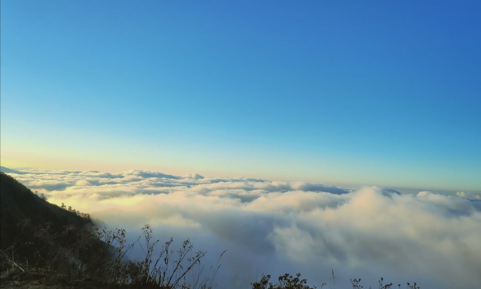 Photo of One who gets ready every morning- trip to East Sikkim by Hiya Mukherjee