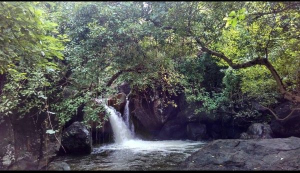Photo of Muthalamada South, Kerala, India by Ashith Kv