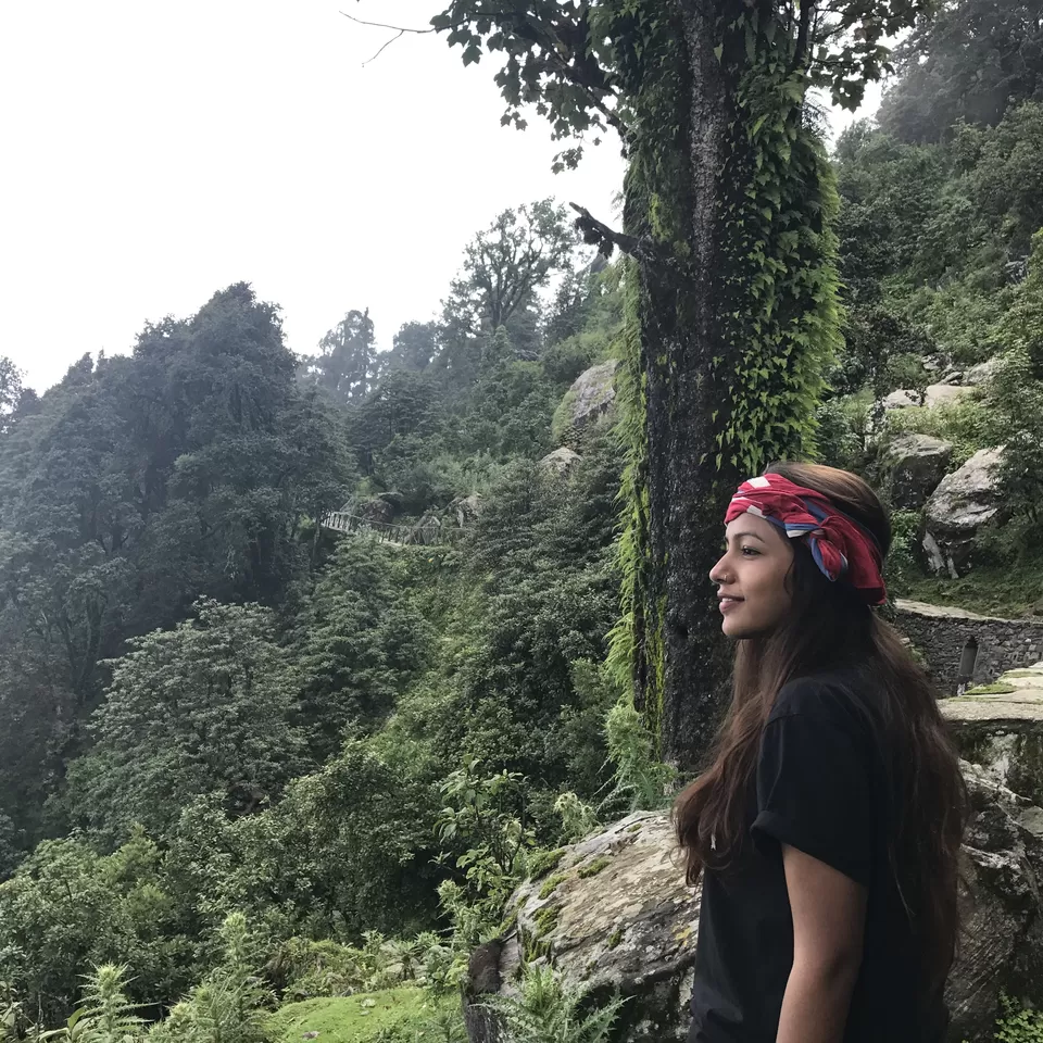 Photo of An Expedition to Garhwal Mandal(UK) - Chopta, Tungnath, Chandrashila and Deoria Taal by Albana Nadeem