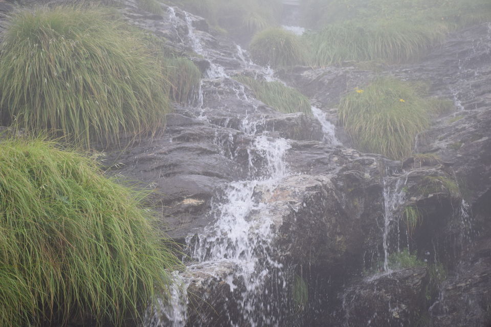 Photo of An Expedition to Garhwal Mandal(UK) - Chopta, Tungnath, Chandrashila and Deoria Taal by Albana Nadeem