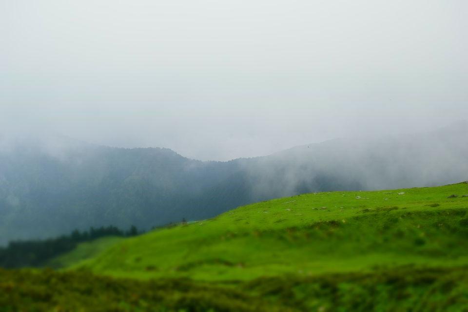 Photo of An Expedition to Garhwal Mandal(UK) - Chopta, Tungnath, Chandrashila and Deoria Taal by Albana Nadeem
