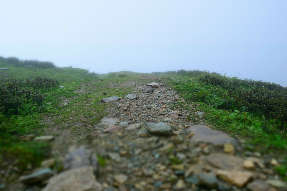 Photo of An Expedition to Garhwal Mandal(UK) - Chopta, Tungnath, Chandrashila and Deoria Taal by Albana Nadeem