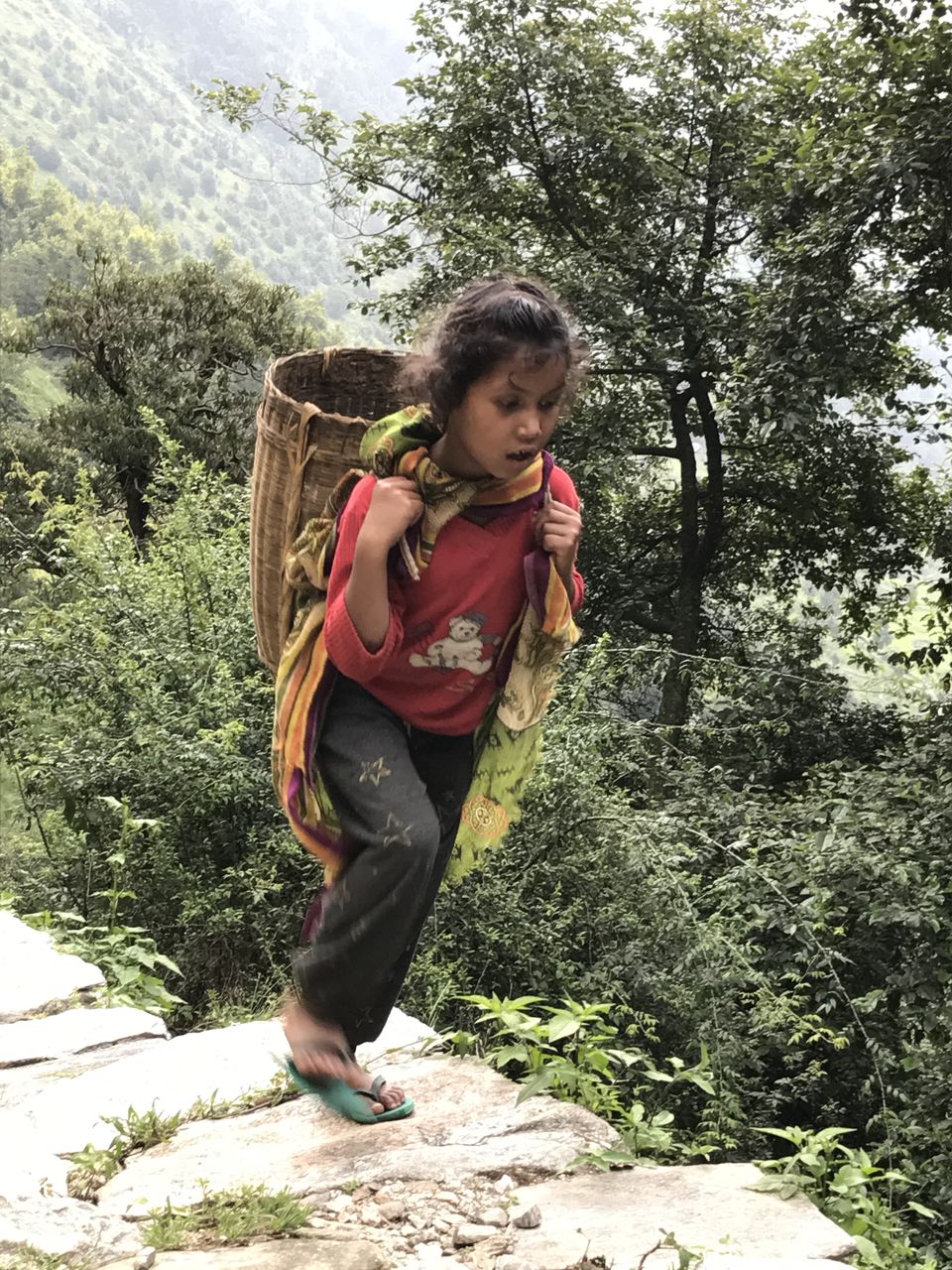 Photo of Deoria Tal Treak Sari Village Uttrakhand, Unnamed Road, Dilmi, Uttarakhand, India by Albana Nadeem