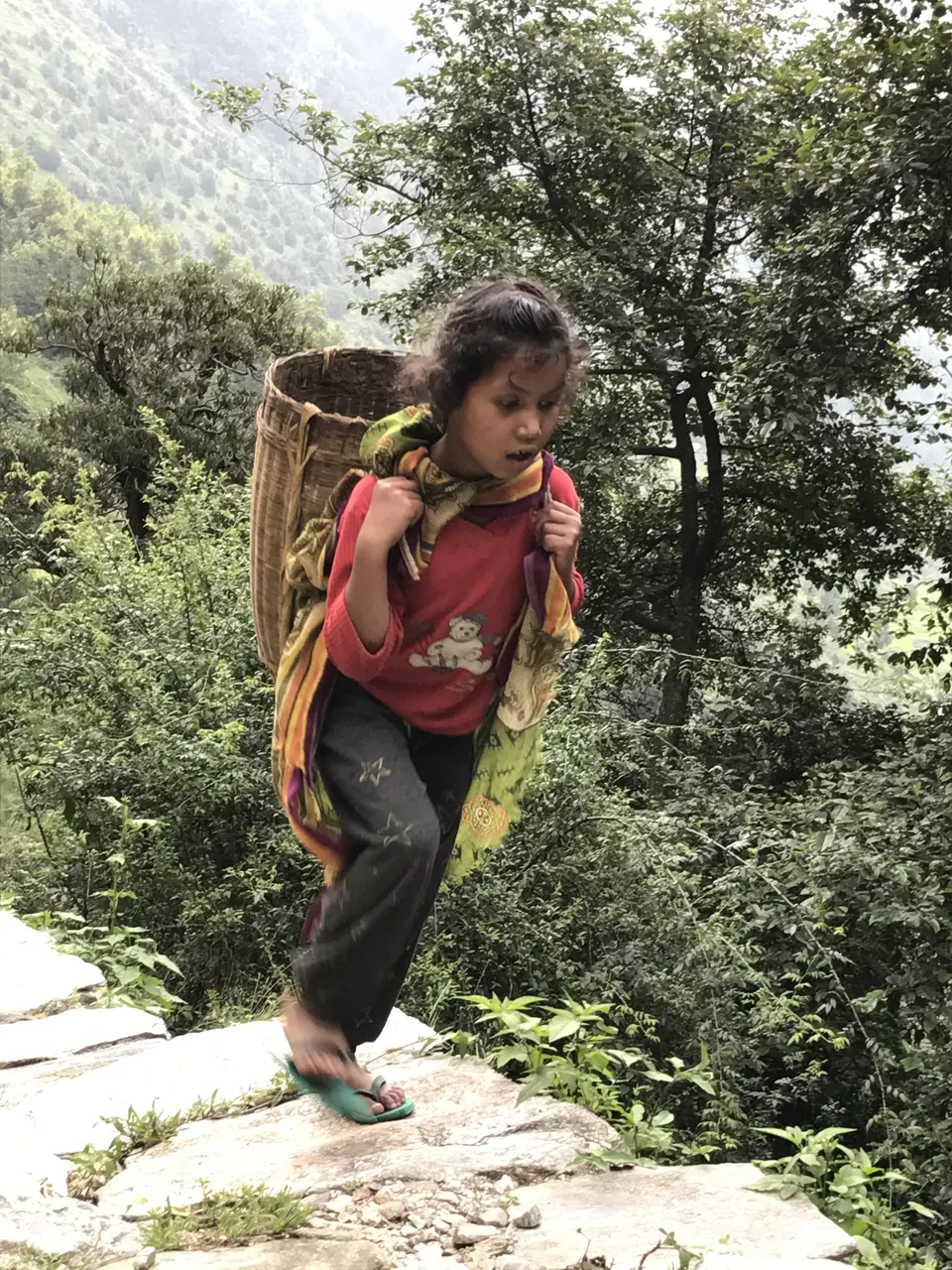 Photo of Deoria Tal Treak Sari Village Uttrakhand, Unnamed Road, Dilmi, Uttarakhand, India by Albana Nadeem