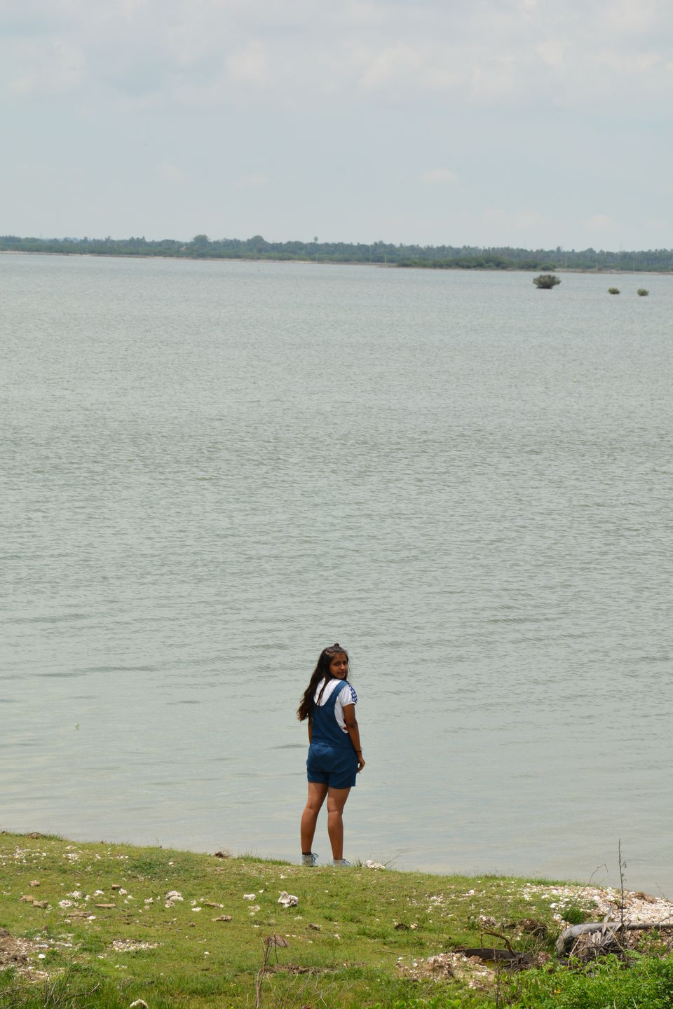 Photo of Boat Club Area, Nandanam, Chennai, Tamil Nadu, India by Albana Nadeem