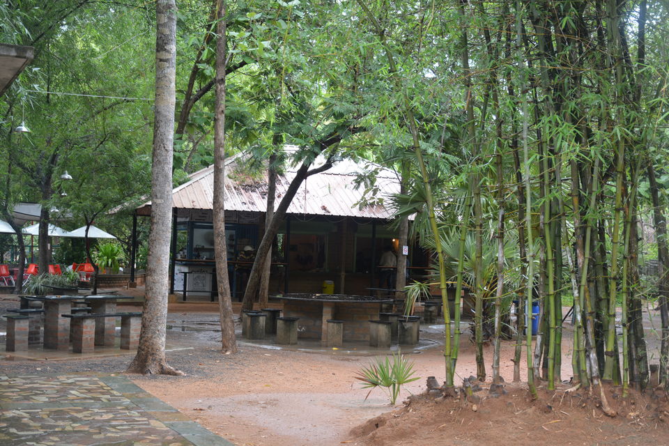 Photo of Auroville Ashram, Golden Globe, Bommayapalayam, Tamil Nadu, India by Albana Nadeem