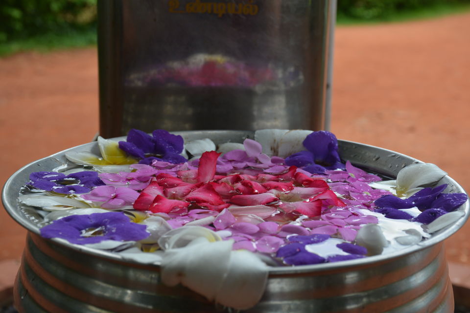 Photo of Auroville Ashram, Golden Globe, Bommayapalayam, Tamil Nadu, India by Albana Nadeem