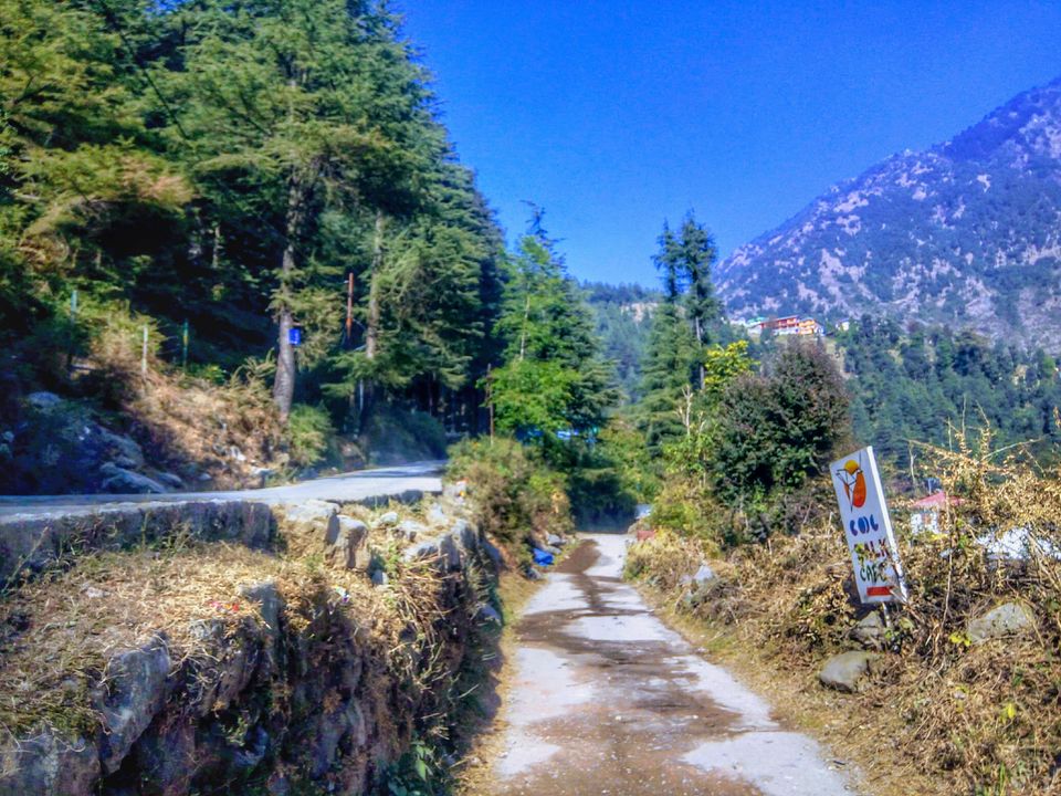 Photo of When I Met Myself - First Solo Backpacking to Magical Triund #LadysFirst by Albana Nadeem