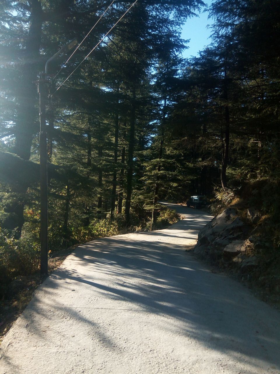 Photo of When I Met Myself - First Solo Backpacking to Magical Triund #LadysFirst by Albana Nadeem