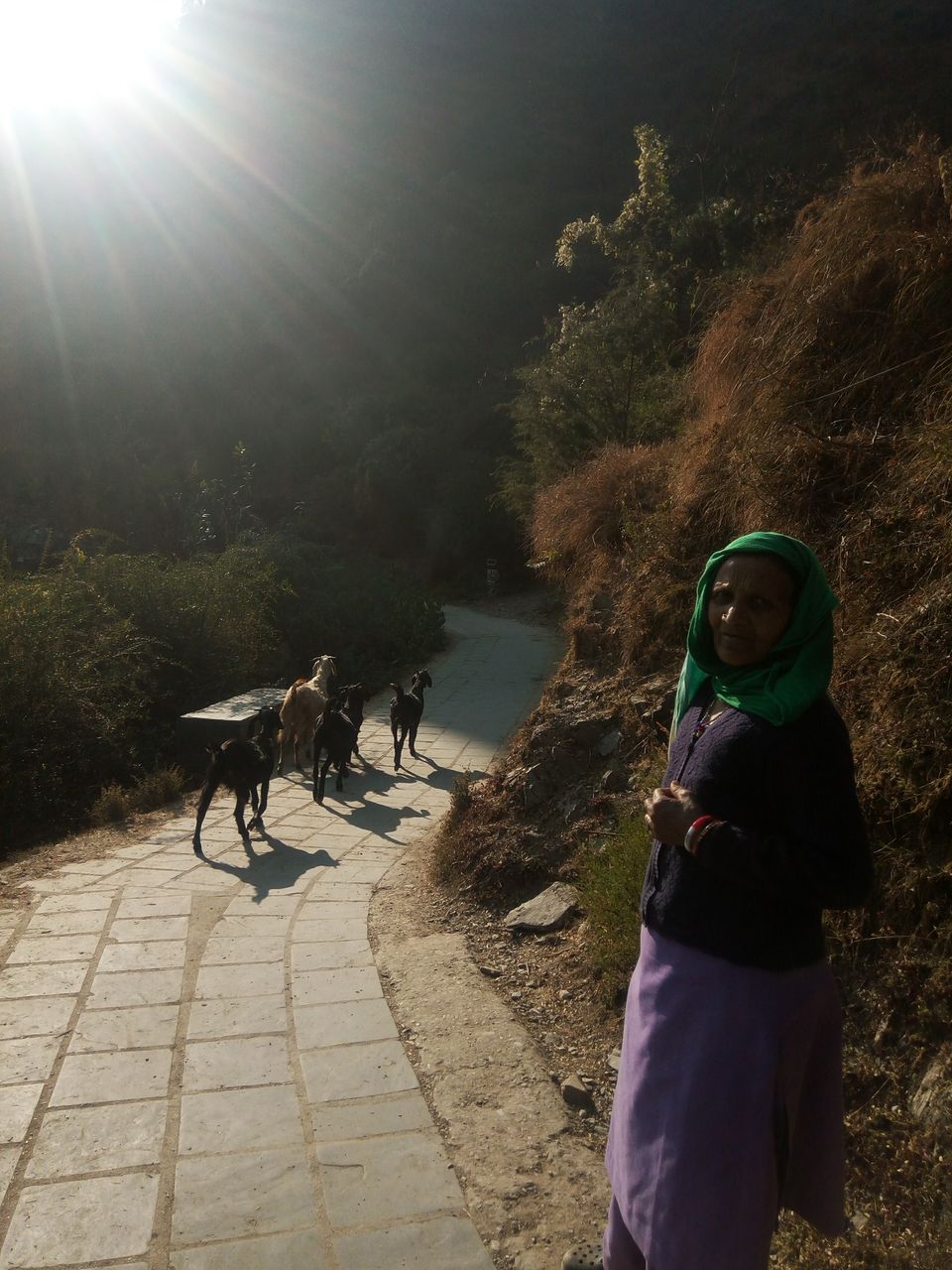 Photo of When I Met Myself - First Solo Backpacking to Magical Triund #LadysFirst by Albana Nadeem