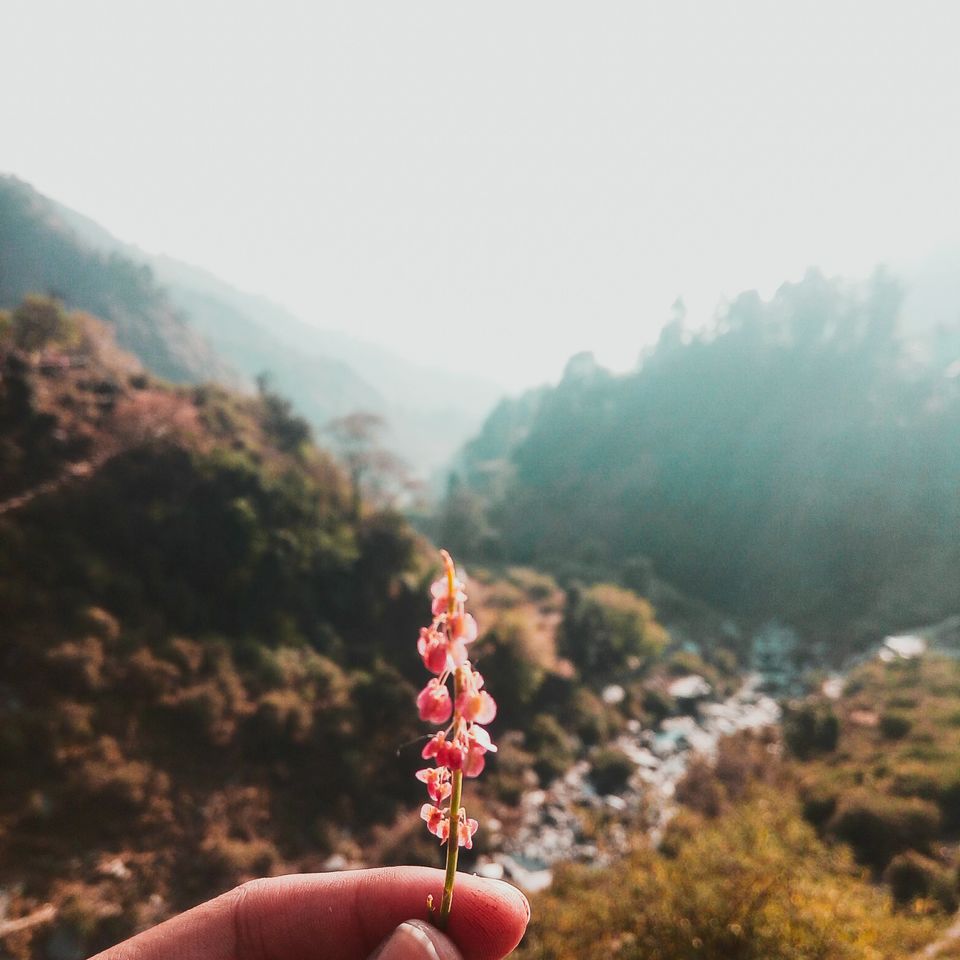 Photo of When I Met Myself - First Solo Backpacking to Magical Triund #LadysFirst by Albana Nadeem