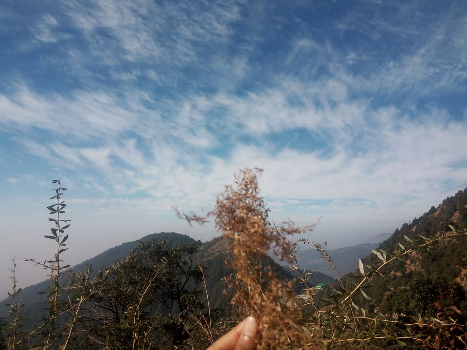 Photo of When I Met Myself - First Solo Backpacking to Magical Triund #LadysFirst by Albana Nadeem
