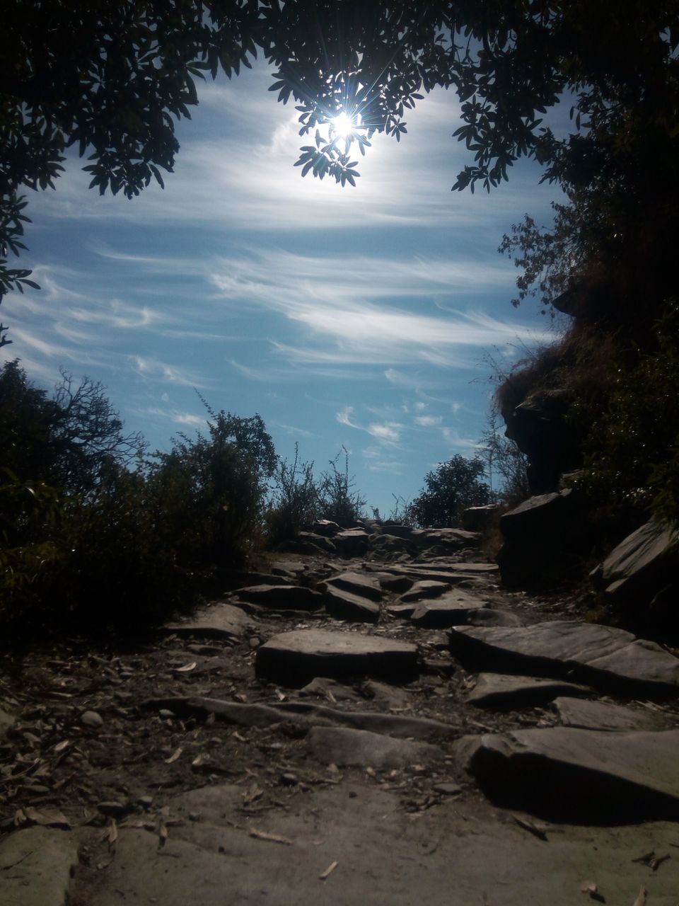 Photo of Magic View Cafe, Trail to Triund Hill, Dharamshala, Himachal Pradesh, India by Albana Nadeem