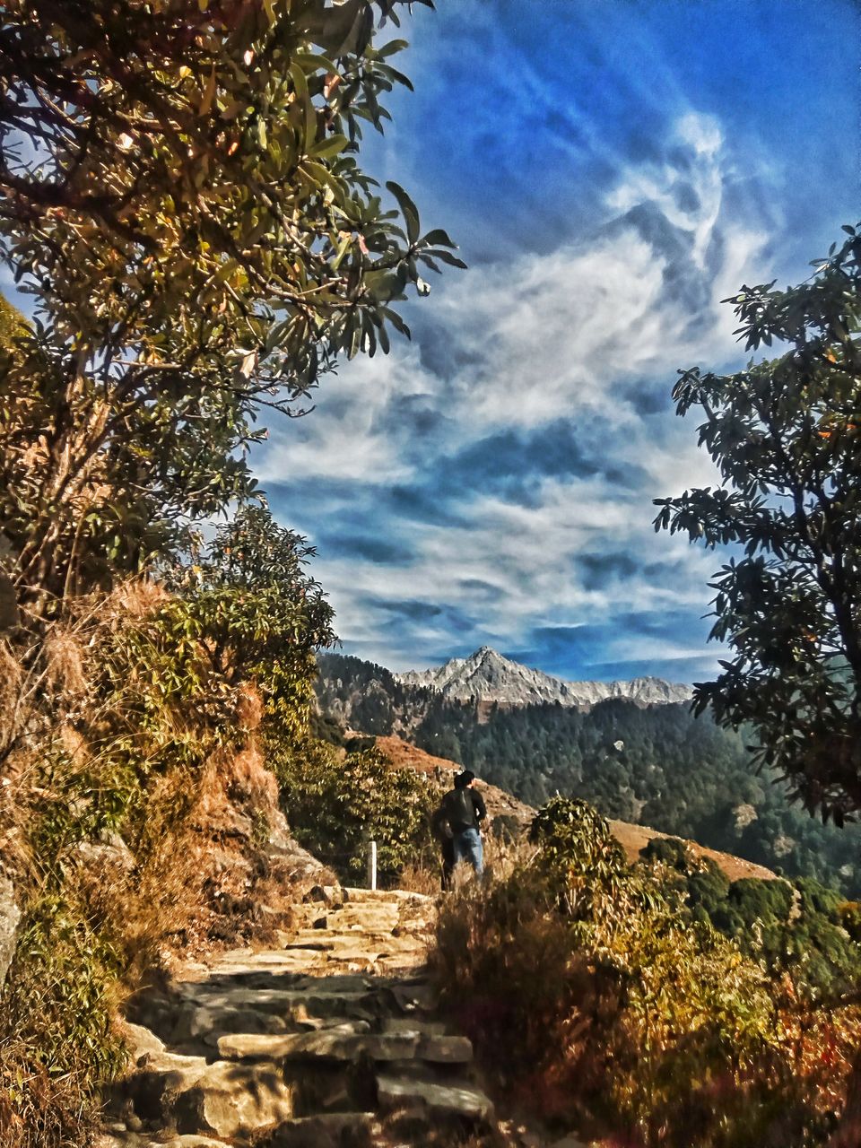 Photo of Magic View Cafe, Trail to Triund Hill, Dharamshala, Himachal Pradesh, India by Albana Nadeem