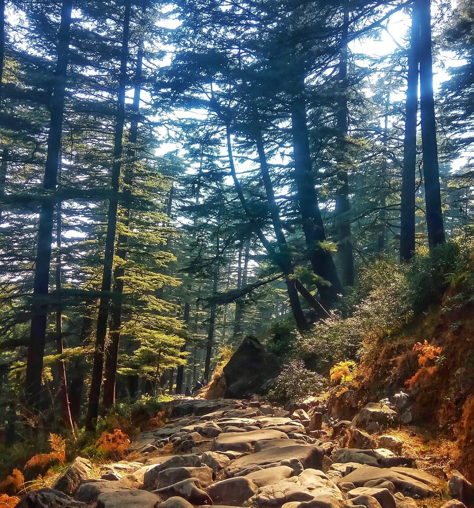 Photo of Gallu Devi Temple, Trail to Triund Hill, Dharamshala, Himachal Pradesh, India by Albana Nadeem