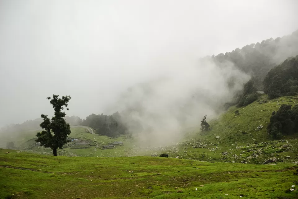 Photo of Chopta, Uttarakhand, India by Albana Nadeem