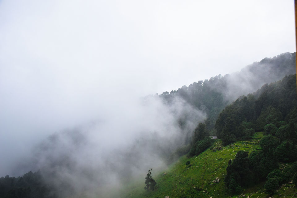 Photo of Chopta, Uttarakhand, India by Albana Nadeem