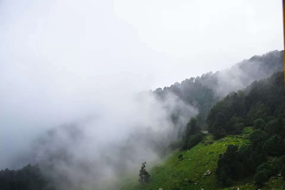 Photo of Chopta, Uttarakhand, India by Albana Nadeem