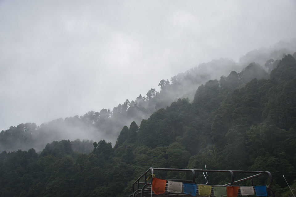Photo of Chopta, Uttarakhand, India by Albana Nadeem