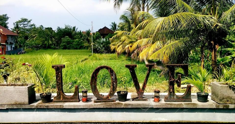 Photo of 10 reasons to fall in love with Ubud by Sudeepta Sanyal