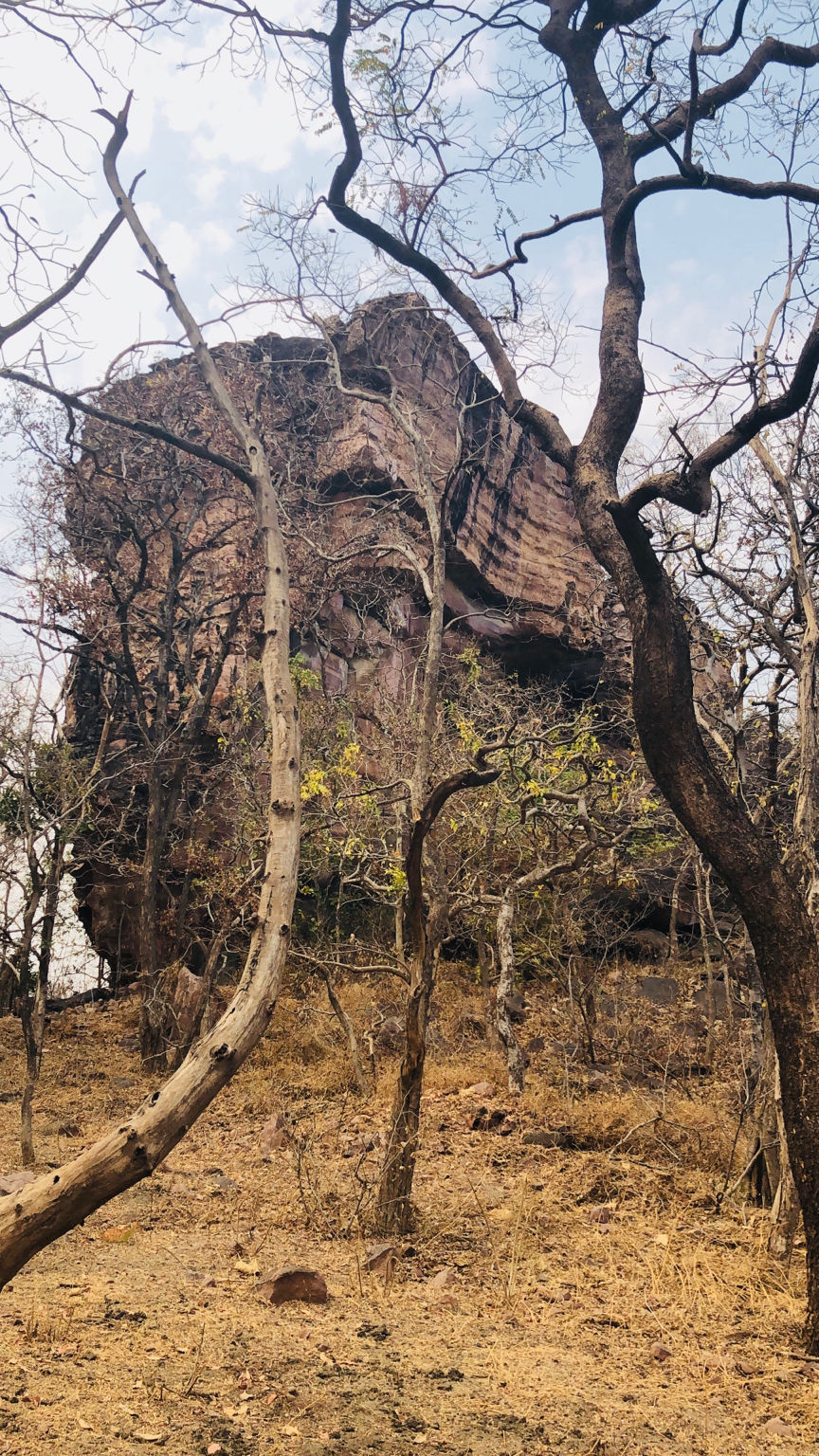 Photo of Bhimbetka rock shelters, Bhojpur Raisen, Madhya Pradesh, India by Rishibha Aery