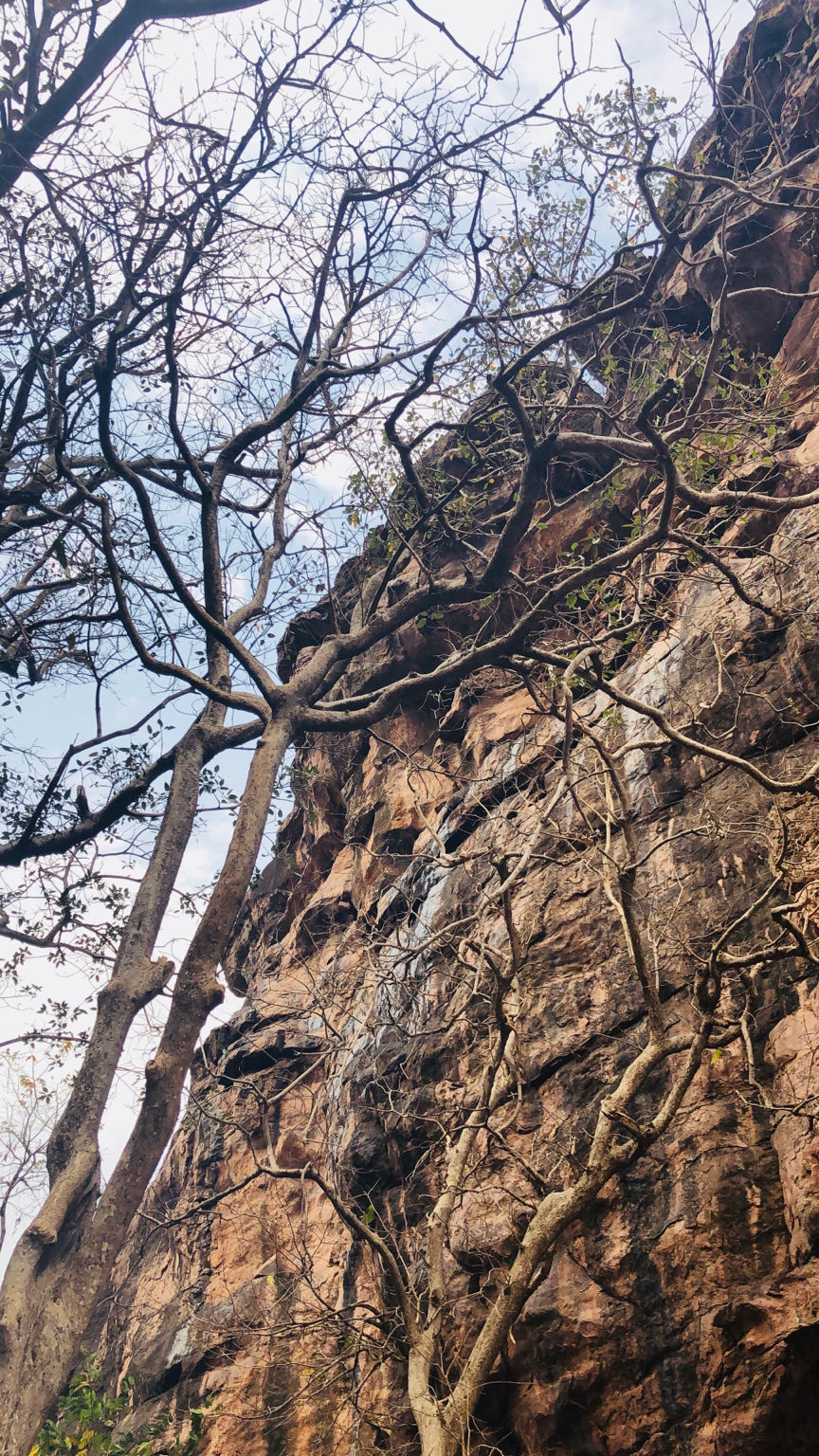 Photo of Bhimbetka rock shelters, Bhojpur Raisen, Madhya Pradesh, India by Rishibha Aery