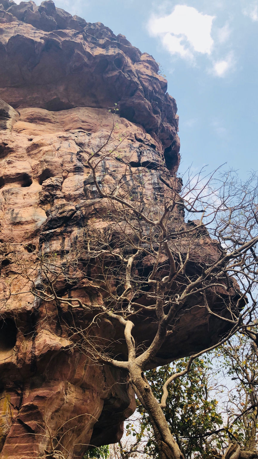 Photo of Bhimbetka rock shelters, Bhojpur Raisen, Madhya Pradesh, India by Rishibha Aery