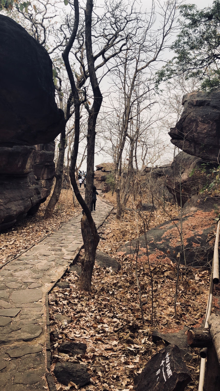 Photo of Bhimbetka rock shelters, Bhojpur Raisen, Madhya Pradesh, India by Rishibha Aery