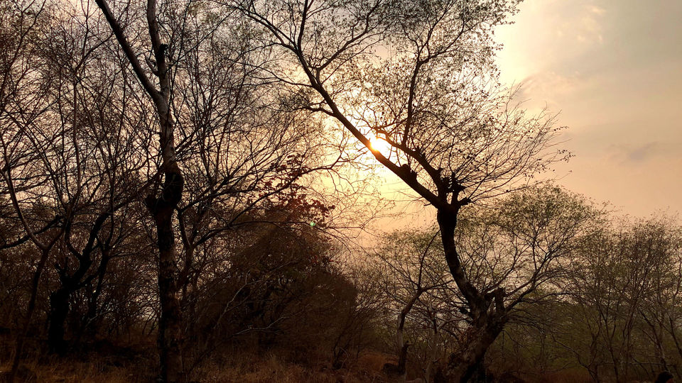 Photo of Sanchi, Madhya Pradesh, India by Rishibha Aery