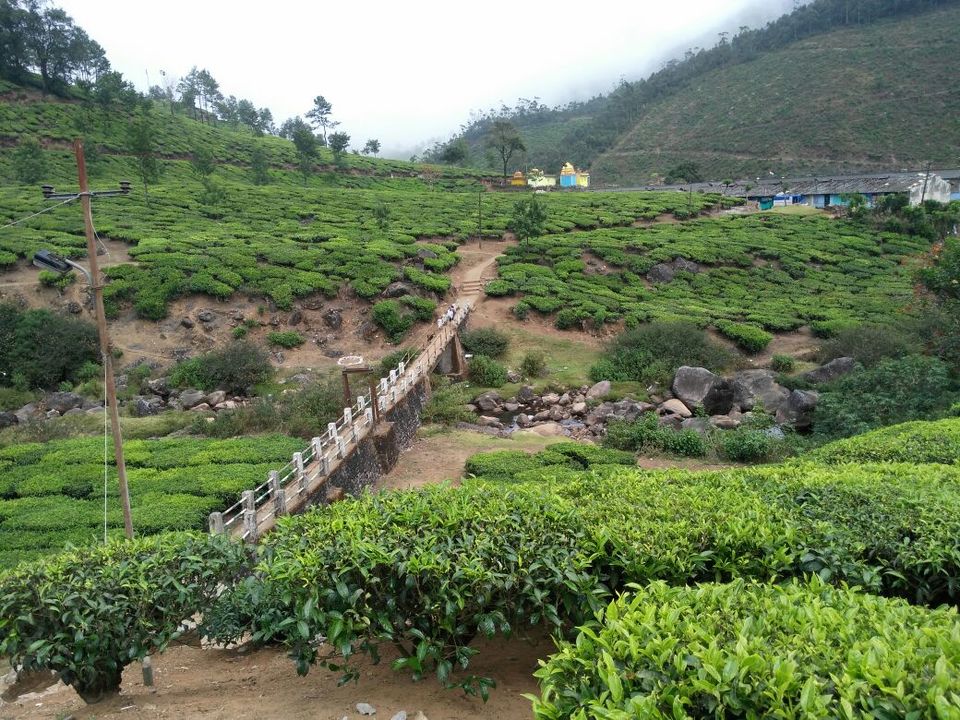 Photo of Hill station heaven in Kerala Munnar #Notinnorth by Shikha Khare