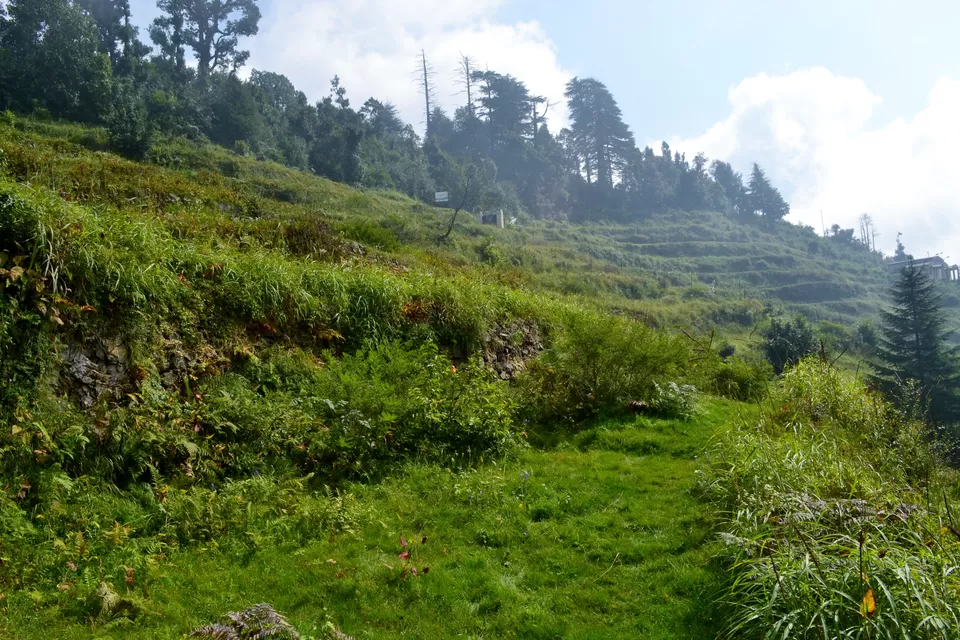 Photo of Eco Park, Dhanolti, Uttarakhand, India by sourabh suman
