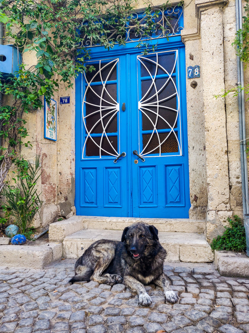 Photo of Turkey’s hidden gem – Alaçati 3/18 by hippiegoluckyme