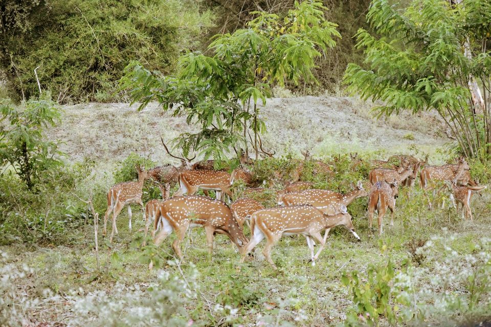 Photo of Tirupur-Bekal-Mysuru in a day, Technically! by Akshay Bafna