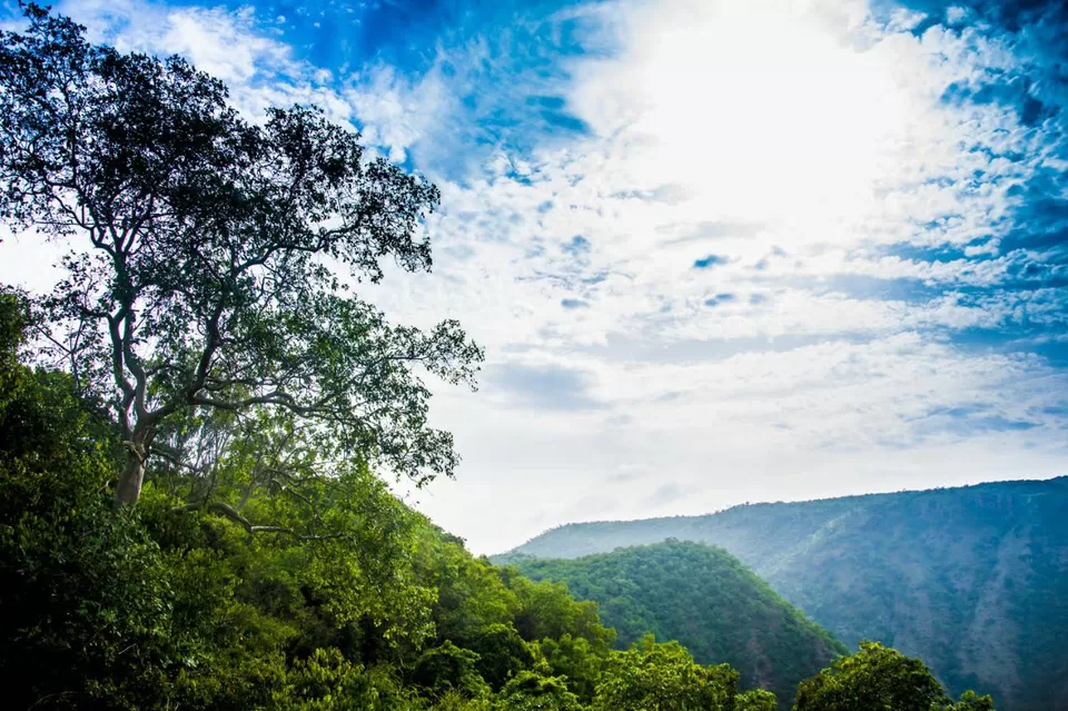 Photo of Dhimbham, Talamalai R.F., Tamil Nadu, India by Akshay Bafna