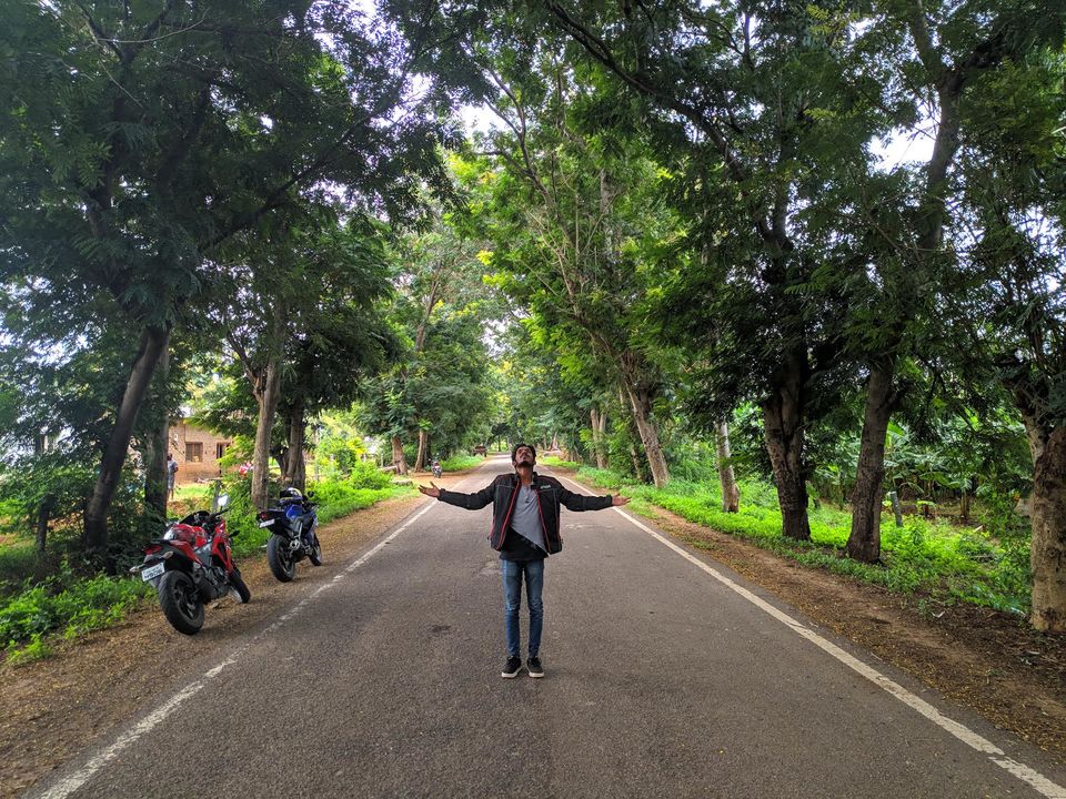 Photo of Biligiriranga Hills by Akshay Bafna