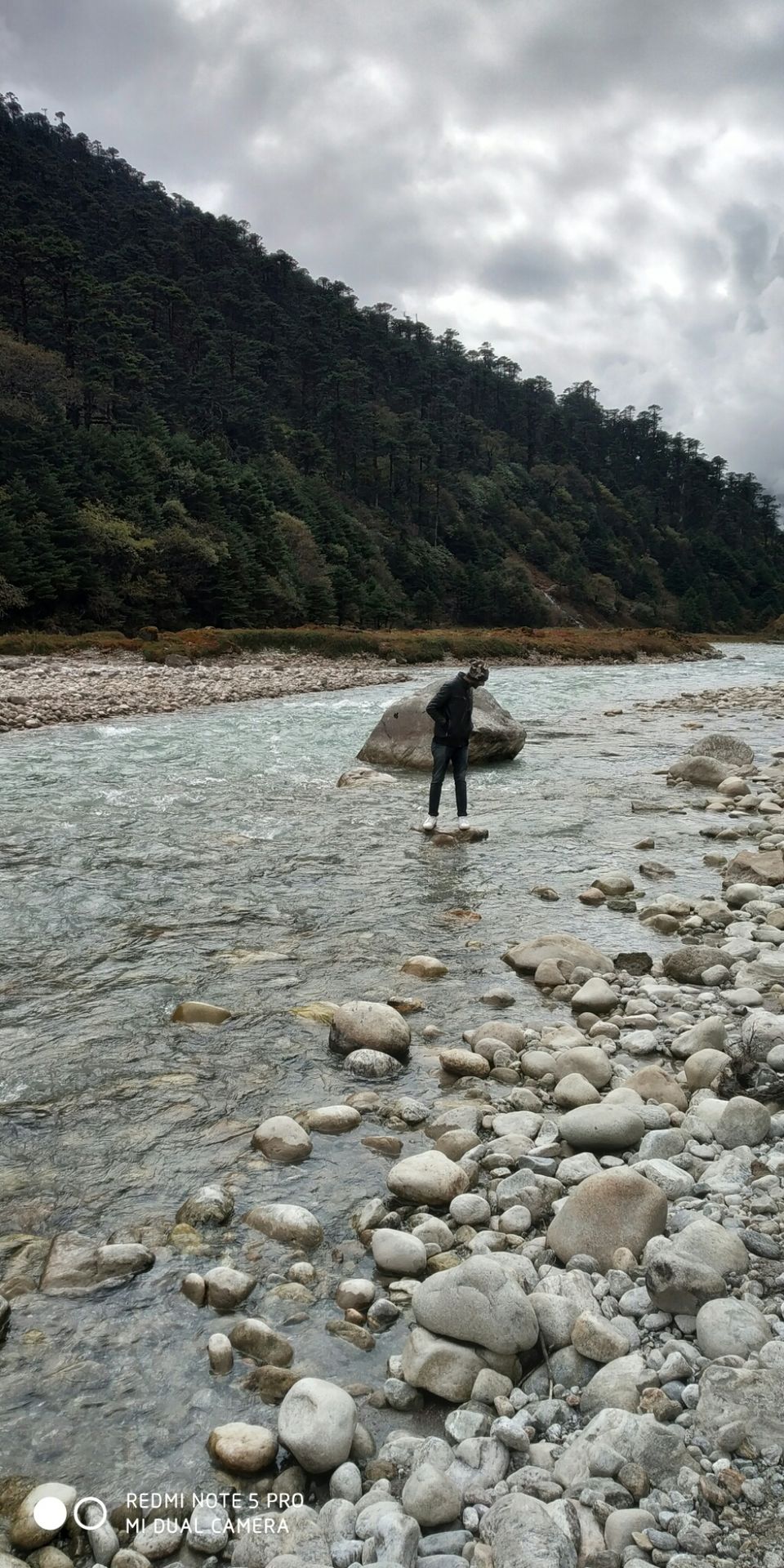 Photo of Yumthang, Sikkim, India by Ashish Bharti