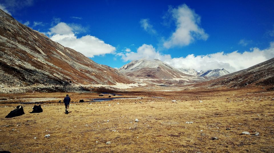 Photo of Zero Point Yumthang Valley, Sikkim, India by Ashish Bharti