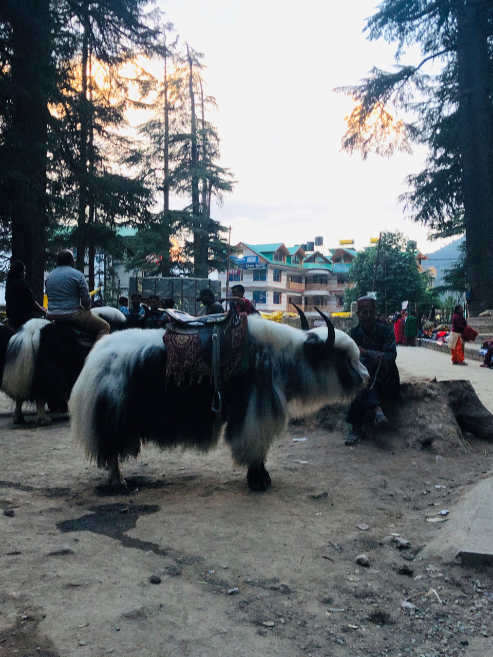 Photo of Manali To Leh : The Road To Be Taken by Jyoti Sahlot