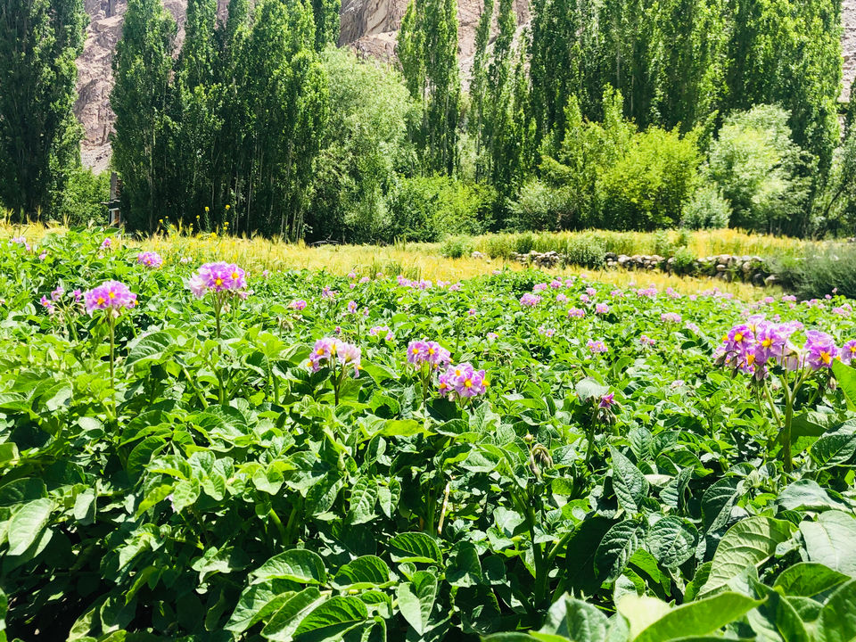 Photo of Ladakh : The Place Of Magical Mountains by Jyoti Sahlot