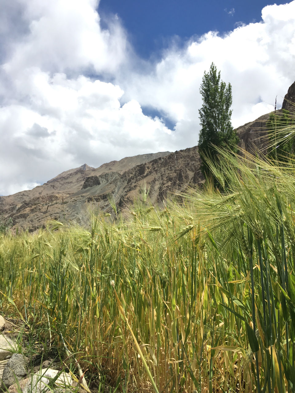 Photo of Ladakh : The Place Of Magical Mountains by Jyoti Sahlot