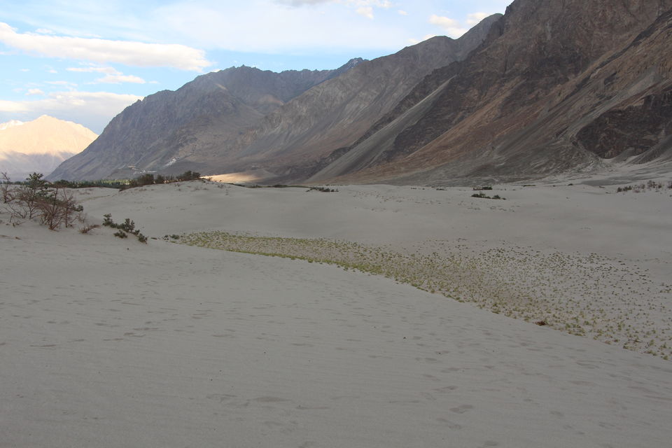 Photo of Nubra Valley, Leh by Prachi Jain