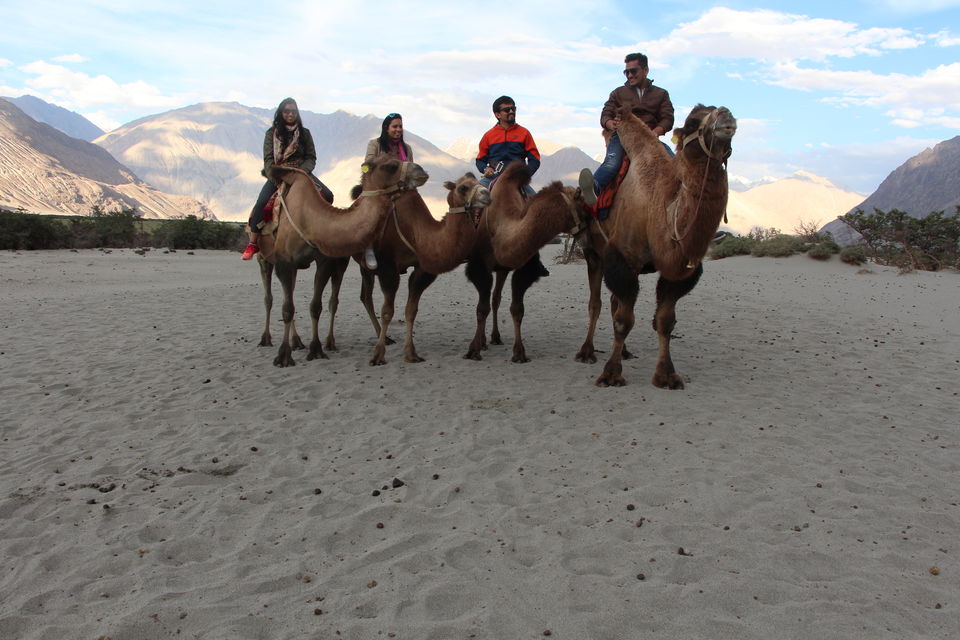 Photo of Nubra Valley, Leh by Prachi Jain
