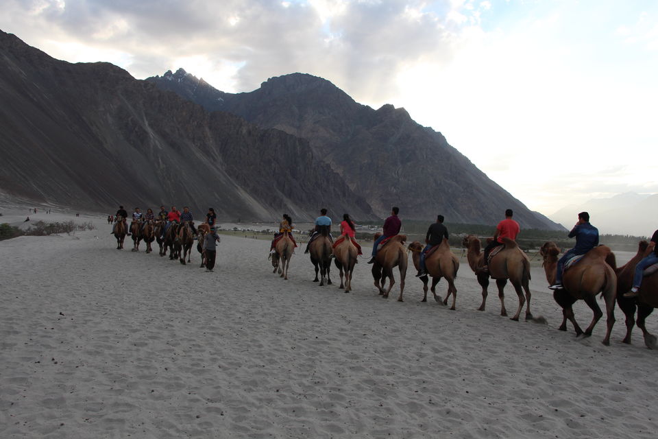 Photo of Nubra Valley, Leh by Prachi Jain