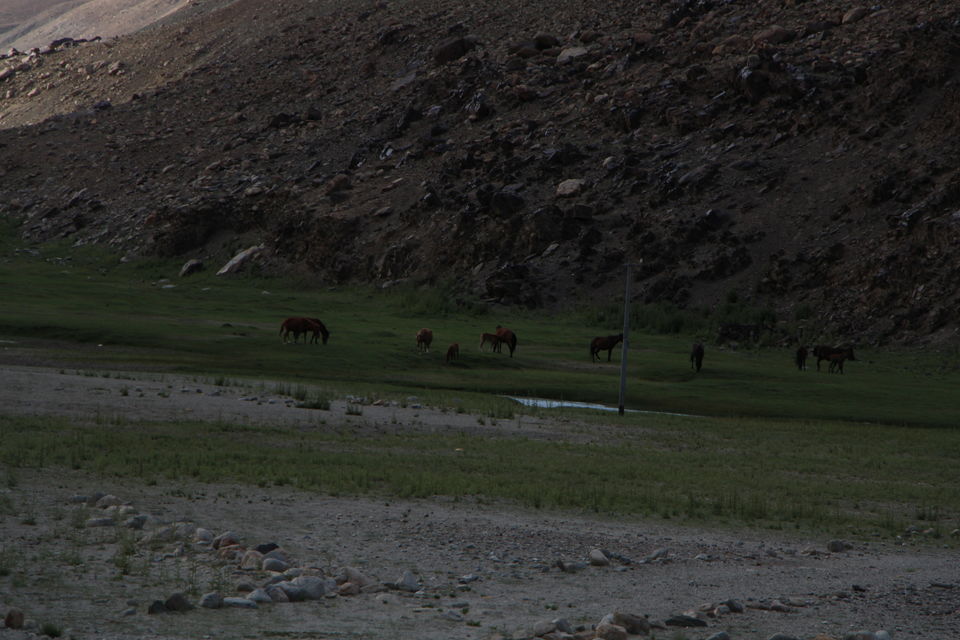 Photo of Pangong Tso by Prachi Jain