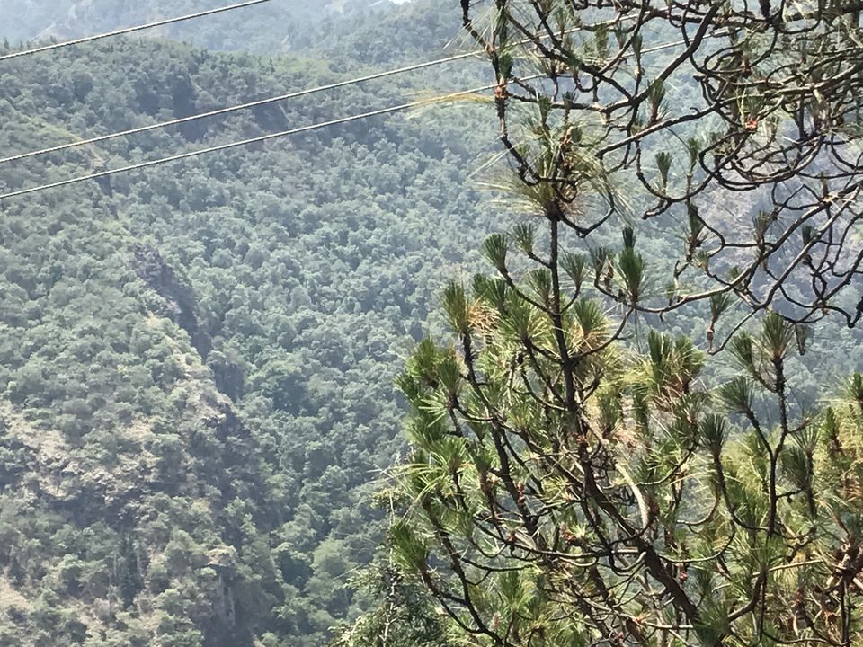 Photo of Landour, Mussoorie, Uttarakhand, India by Prachi Jain
