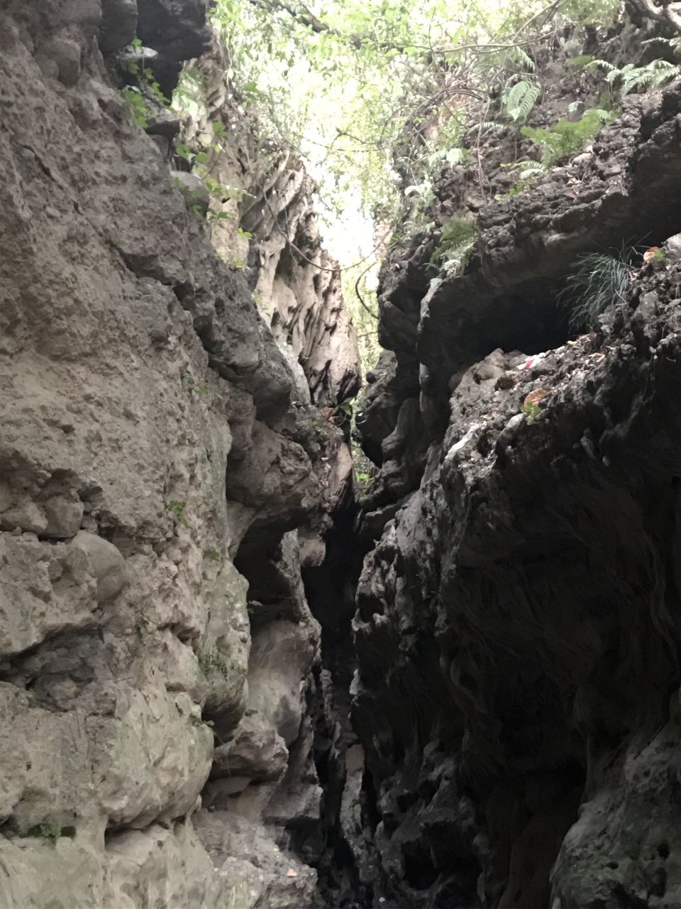 Photo of Dehradun, Uttarakhand, India by Prachi Jain
