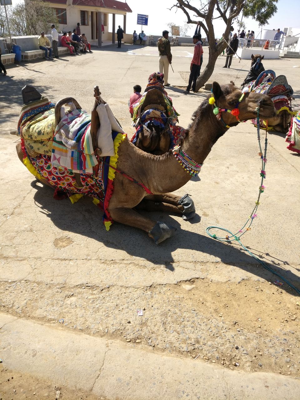 Photo of Kalo Dungar, Kutch, Gujarat, India by Prachi Jain