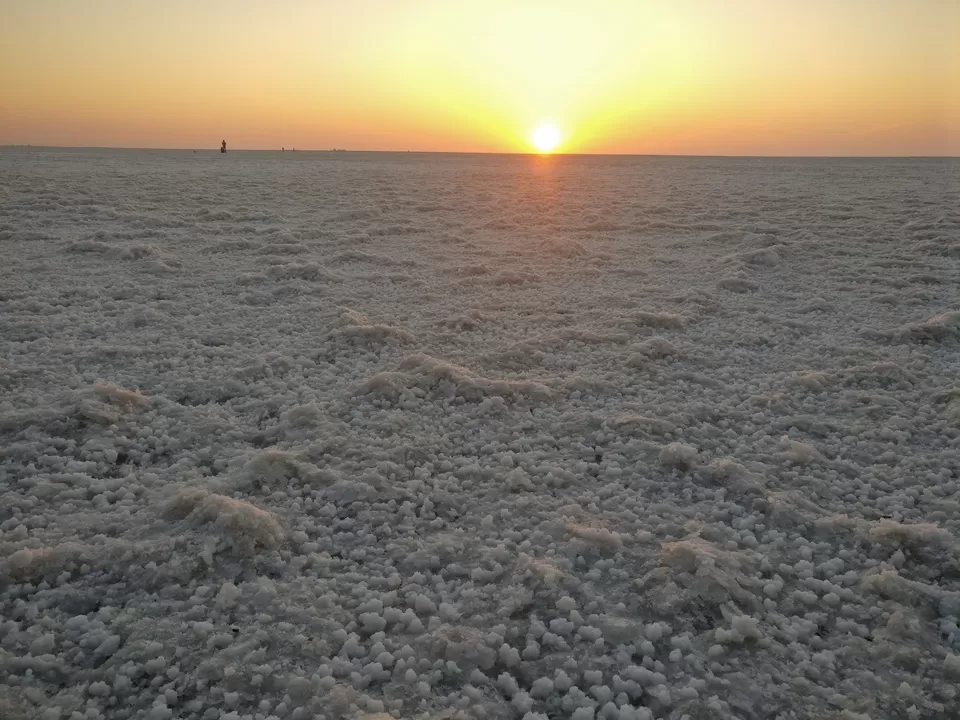 Photo of Rann of Kutch, Kutch, Gujarat, India by Prachi Jain